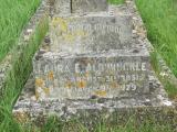 image of grave number 511781